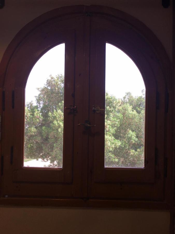 Dahab Home bed&breakfast Eksteriør billede
